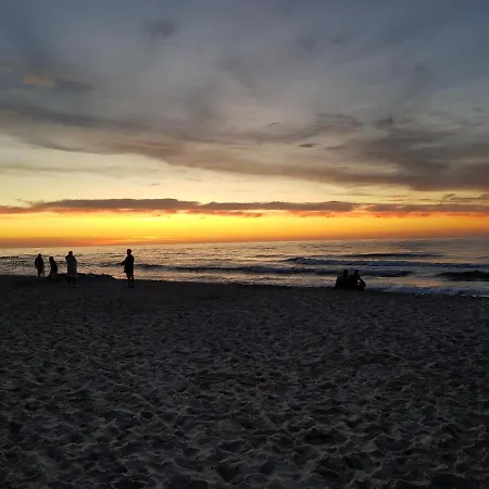 De Luxe By Maria Kolobrzeg - Shellter