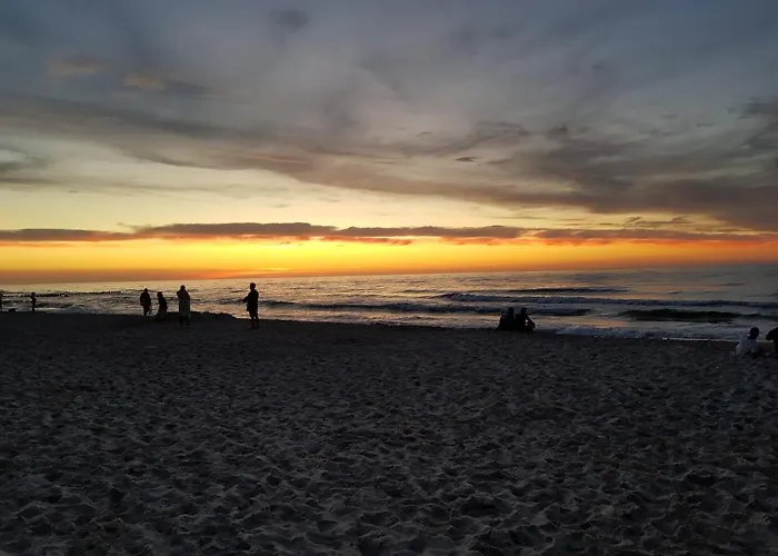 De Luxe By Maria Kolobrzeg - Shellter